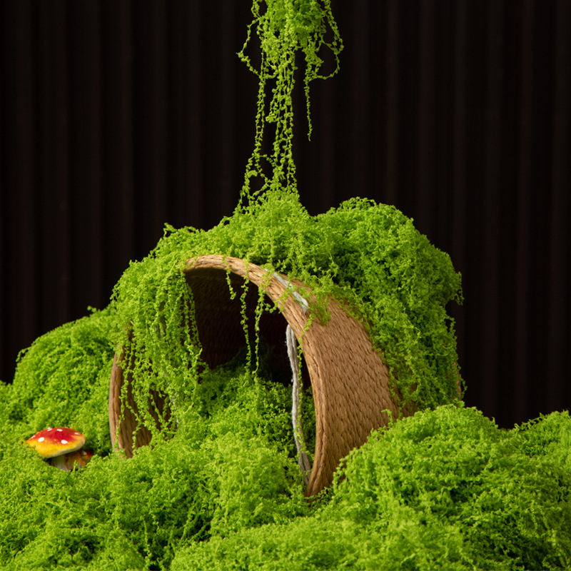 Bonsai Garden For Home - 200g Mech Wiecznego Życia DIY Rękodzieło
