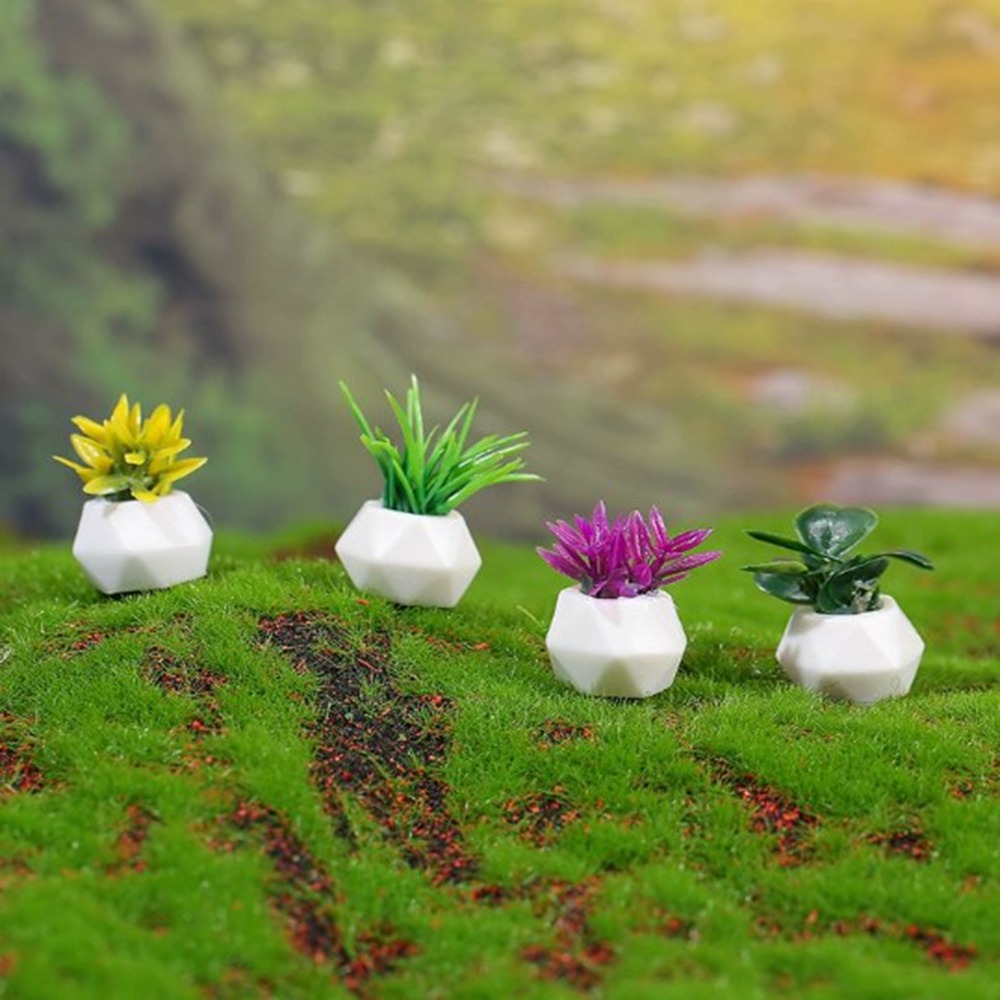 Bonsai Garden For Home - Miniaturowa doniczkowa roślina do domku dla