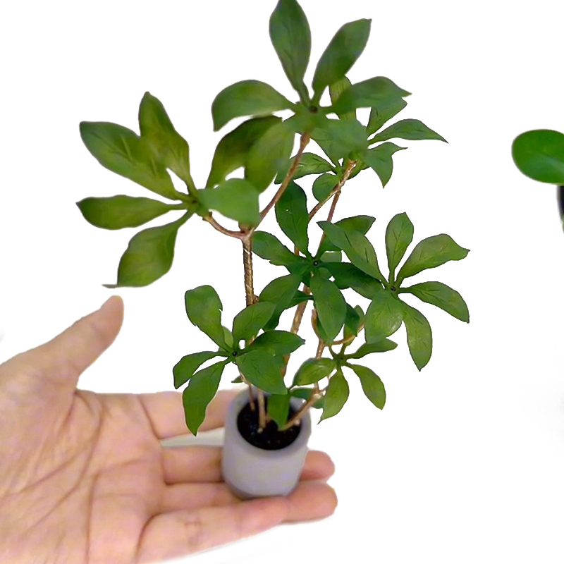 1:6 domek dla lalek miniaturow – Bonsai Garden For Home recenzja i cena