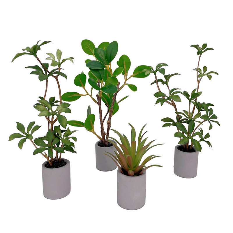 1:6 domek dla lalek miniaturow – Bonsai Garden For Home recenzja i cena