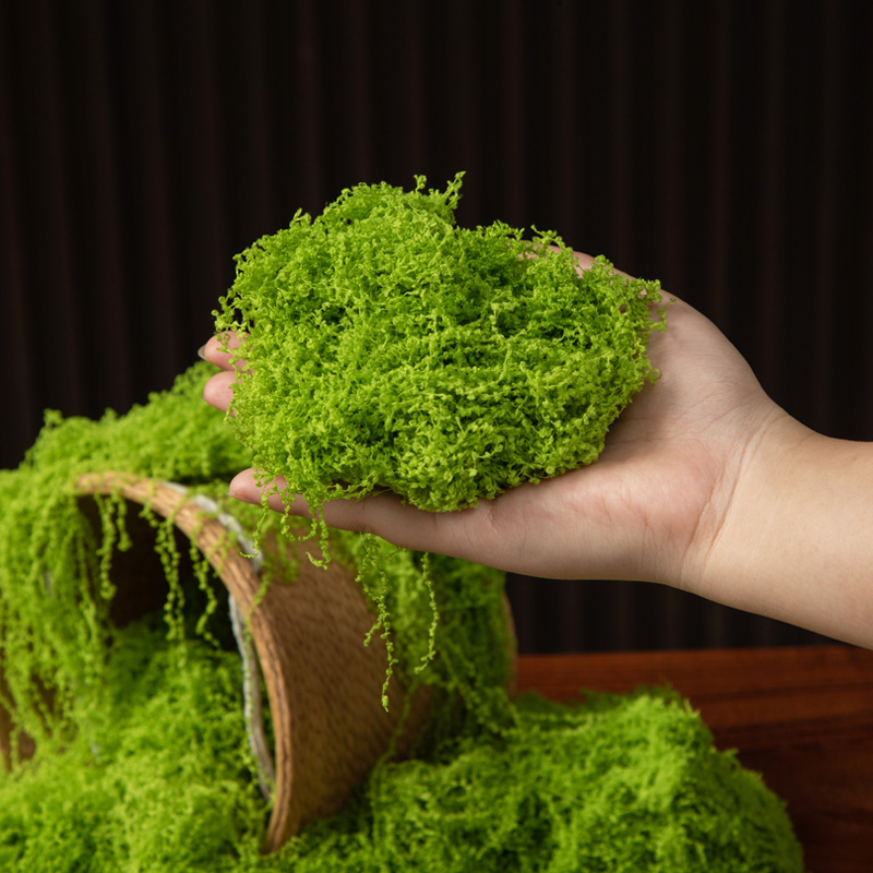 200g Mech Wiecznego Życia DIY  – Bonsai Garden For Home recenzja i cena