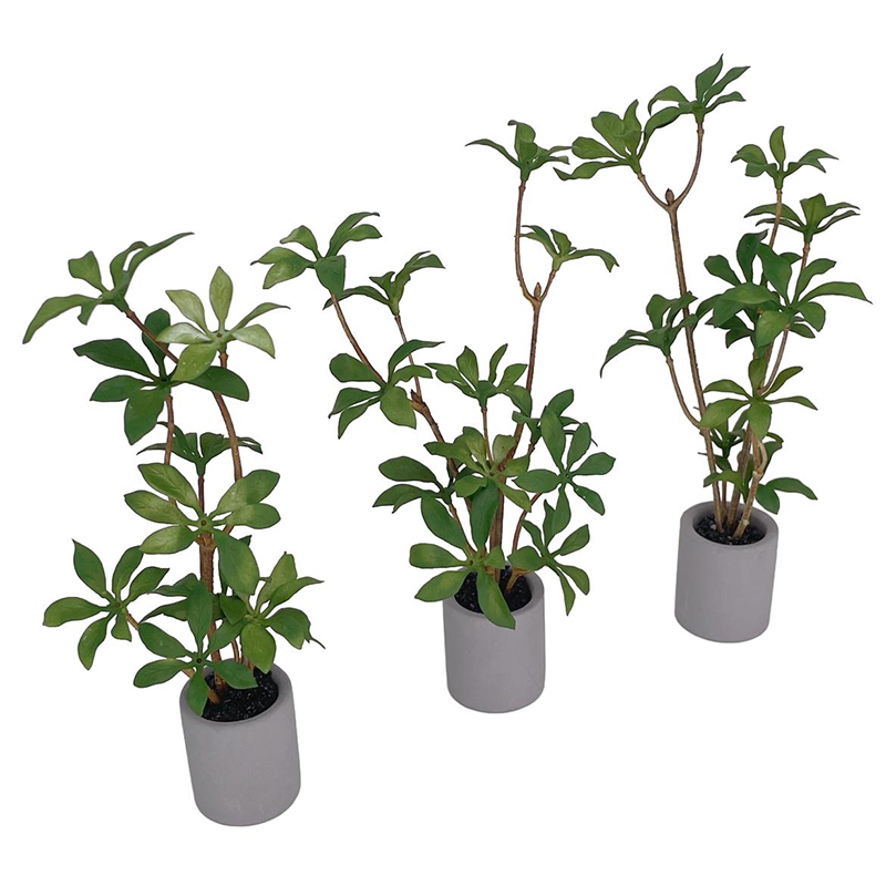 1:6 domek dla lalek miniaturow – Bonsai Garden For Home recenzja i cena