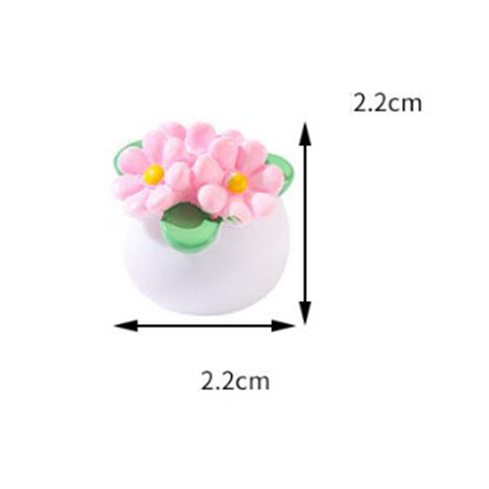 Miniaturowa doniczkowa roślina – Bonsai Garden For Home recenzja i cena