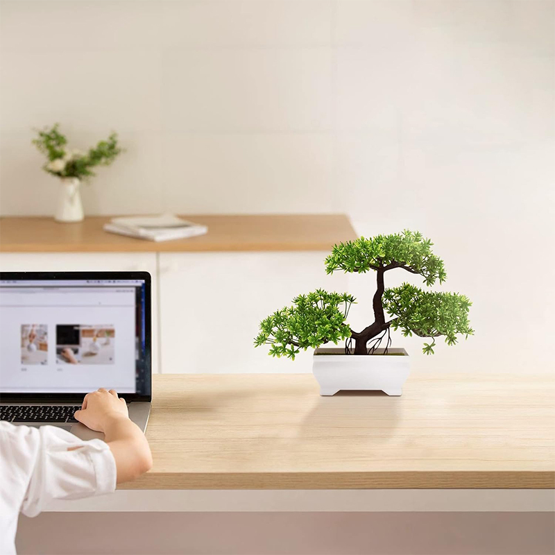 Sztuczne Bonsai Plastikowe Bio – Bonsai Garden For Home recenzja i cena