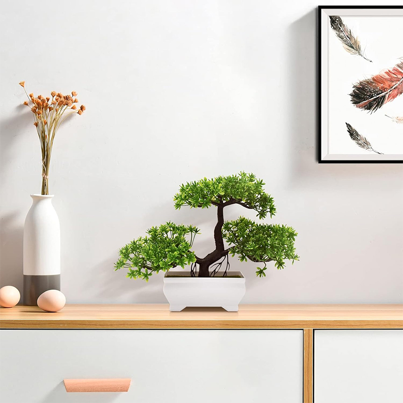 Sztuczne Bonsai Plastikowe Bio – Bonsai Garden For Home recenzja i cena