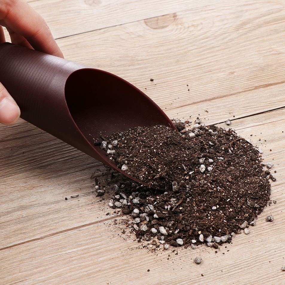 Plastikowa łopatka do gleby, k – Bonsai Garden For Home recenzja i cena